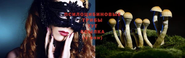 не бодяженный Богородицк