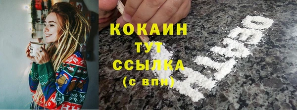 эйфоретик Богданович